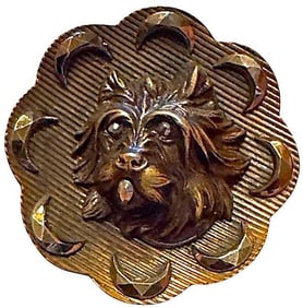 A division one brass and steel dog button