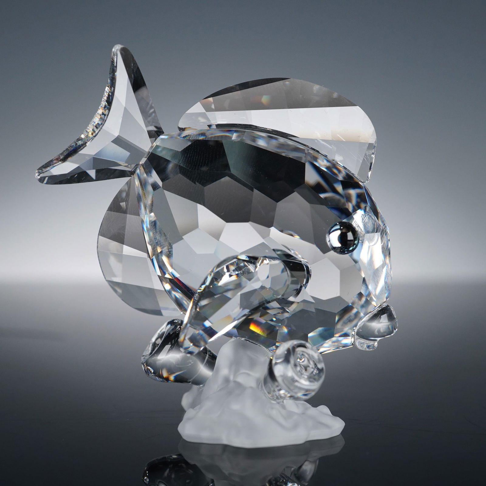 Swarovski Crystal Figurine, Blue Tang Fish-Clear (1 of 4)