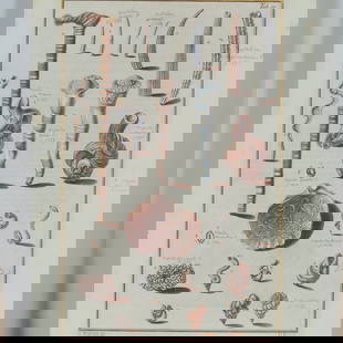 Hand-Colored Engraving Marine Tusk and Tube Shells for Niccolo Gualtieri: Exquisite hand-colored engraving after Antonio Pazzi, depicting a detailed study of marine specimens including shells, tube worms, and other sea forms identified with Latin annotations. Originating fr