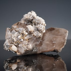 Smoky Quartz Mineral Specimen w/ Muscovite & Albite Crystals