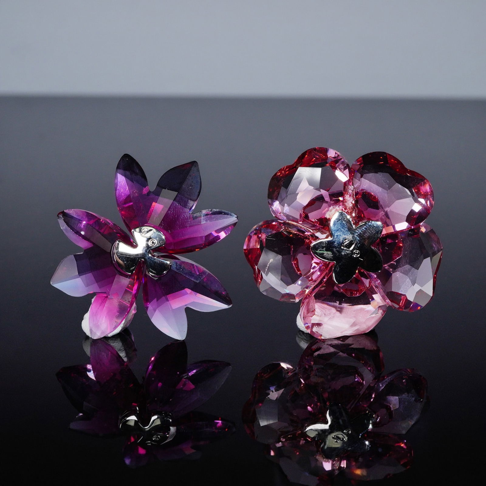 2pc Swarovski Crystal Paradise Flowers, Dilicia Fuchsia, Darose Crystal: Charming pair of Swarovski Crystal Paradise Flowers, featuring the vibrant Dilicia in fuchsia rain 956806 with layered petals in shimmering tones, alongside the Darose in crystal red 956808, with rich