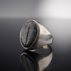 Trilobite Fossil Set in Modern Silver Ring