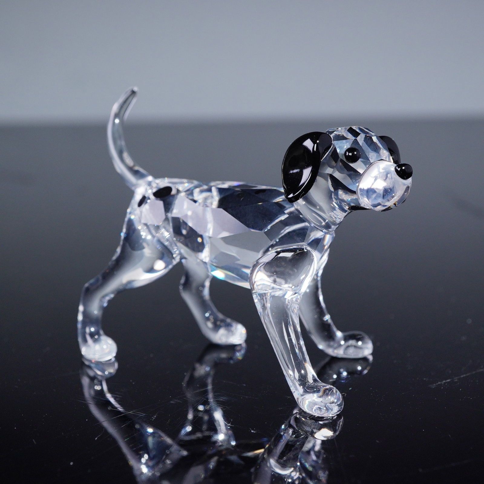 Swarovski Crystal Figurine, Dalmatian Puppy Standing (Model No. 628947): A modern faceted crystal figurine by Swarovski, depicting a standing puppy Dalmatian. Crafted from clear, colorless crystal with a high refractive index, the piece features applied black accents for i
