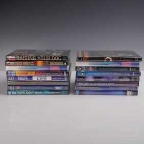 16pc Wellness & Self-Improvement DVD Collection