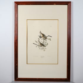 Framed Song Sparrow by John James Audubon, Photo Offset Lithograph 1971