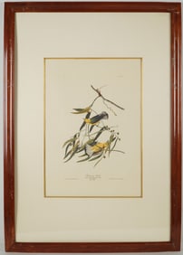 John James Audubon, Photo Offset Lithograph, Prothonotary Warbler, 1971