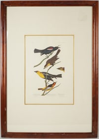 John James Audubon Framed Birds of America Photo Offset Lithograph 1971
