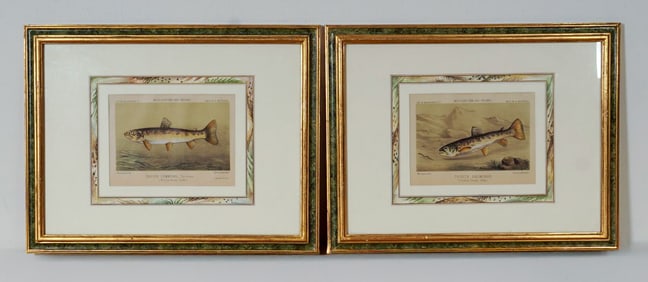 2pc French 19th Century Hand-Colored Trout Lithographs on Paper by Mesnel