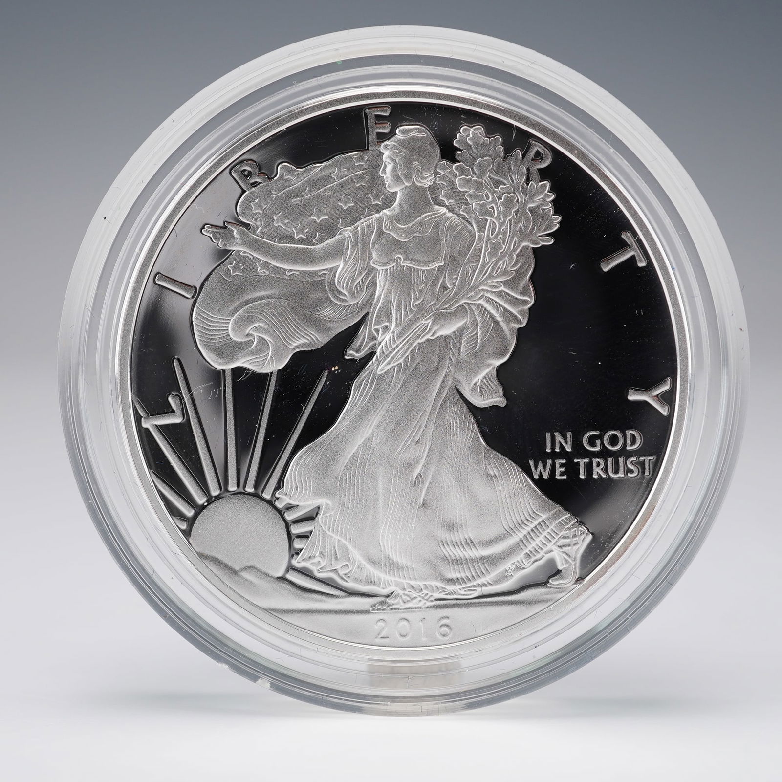 2016-W American Eagle Silver Proof Coin (1 of 4)