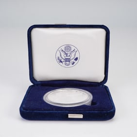 2008-W American Silver Eagle One Ounce Silver Proof Dollar Coin Type 1