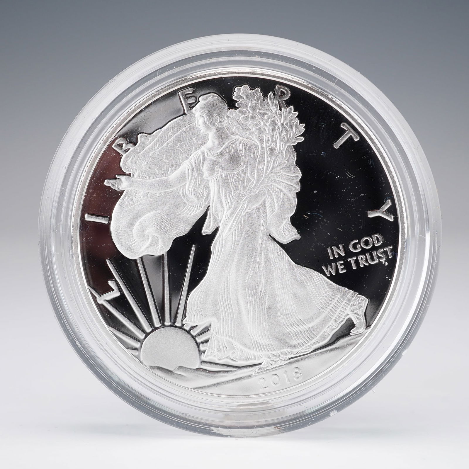2018-W American Eagle Silver One Ounce Proof Coin (1 of 4)