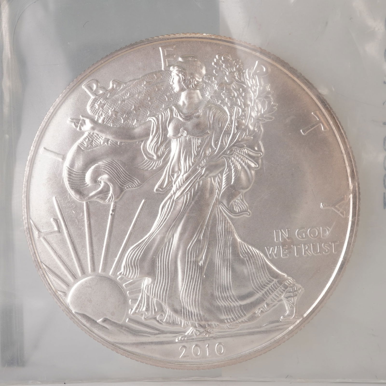 2010 American Silver Eagle Dollar Type 1 (1 of 3)