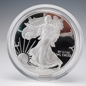 2006-W American Eagle One Ounce Silver Proof Coin