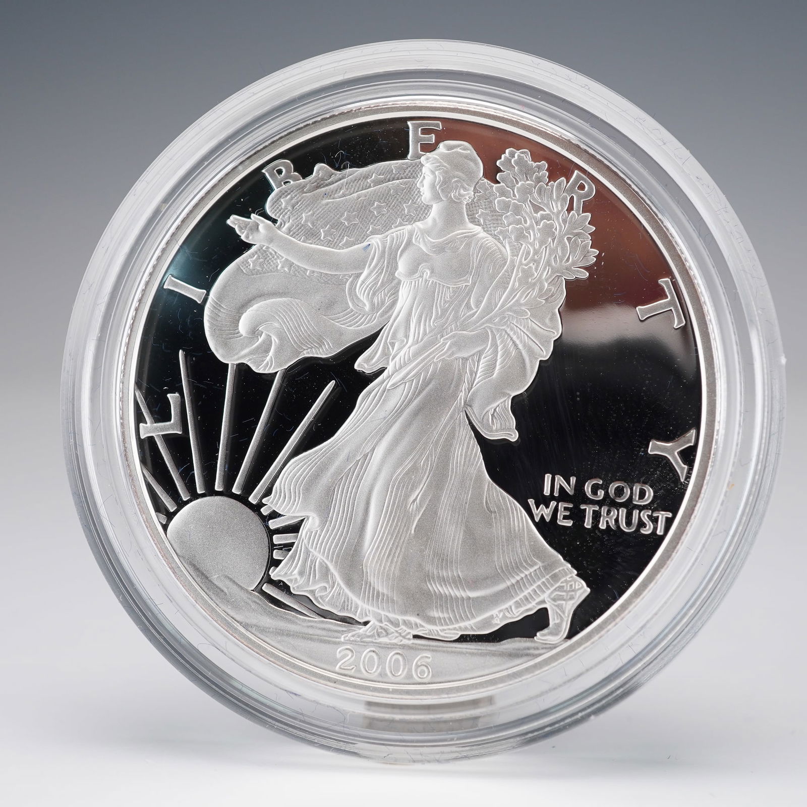 2006-W American Eagle One Ounce Silver Proof Coin (1 of 5)