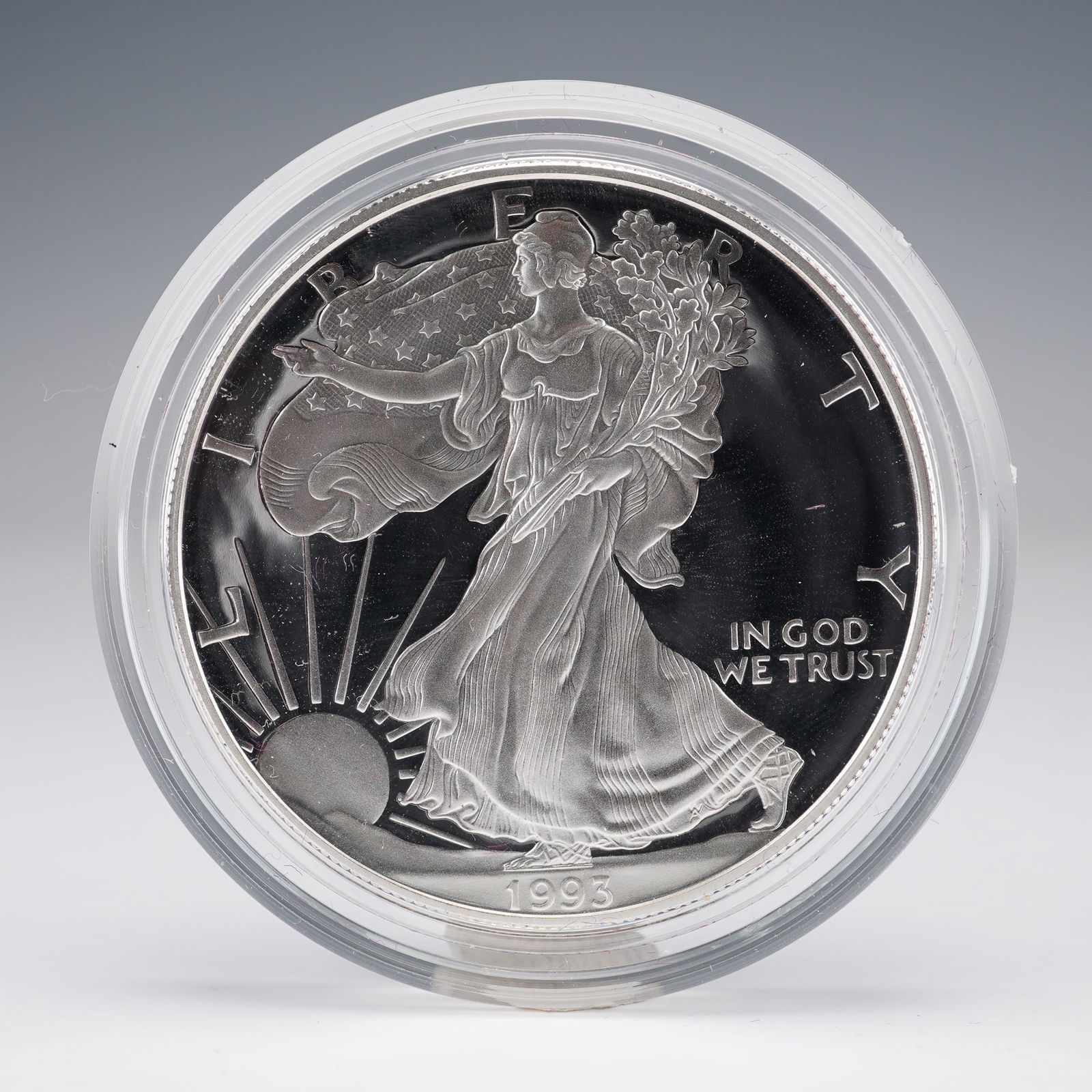 1993-P American Silver Eagle Type 1 (1 of 4)
