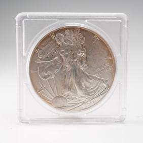 2011 American Silver Eagle Dollar Type 1