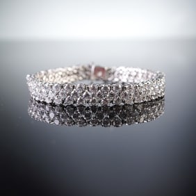 Louis Vuitton Monogram Garment Bag