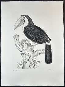 Jack Coutu (1924) Signed Etching, Sulphur Toucan