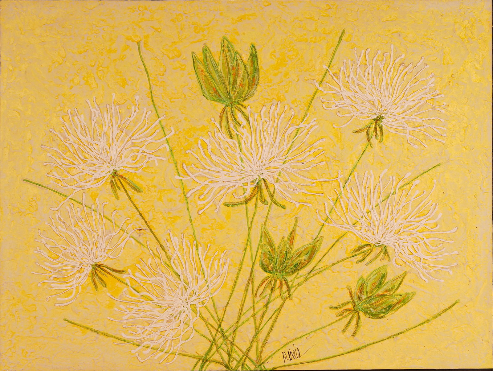 Craig Reheis, Mixed Media on Canvas, Spider Mums Bouquet, Signed: Mixed media on canvas painting by American artist Craig Reheis, featuring a radiant composition of white spider chrysanthemums with green stems and buds against a richly textured yellow background. Ex