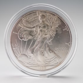 1996 American Silver Eagle 1 Dollar Coin