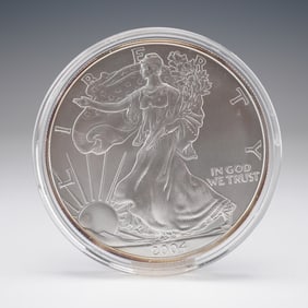 2004 American Silver Eagle Type 1