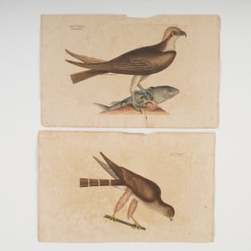 2pc Mark Catesby Hand-Colored Engravings, Natural History of Carolina