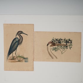 2pc Mark Catesby Hand-Colored Engravings, Natural History of Carolina