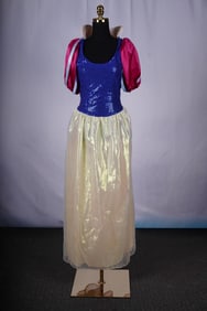 The Disney Store Snow White Costume