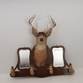 Deer Taxidermy Mount Wall Rack with Mirrors and Hoof Hooks