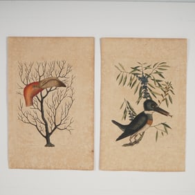 2pc Mark Catesby Hand-Colored Engravings, Natural History of Carolina