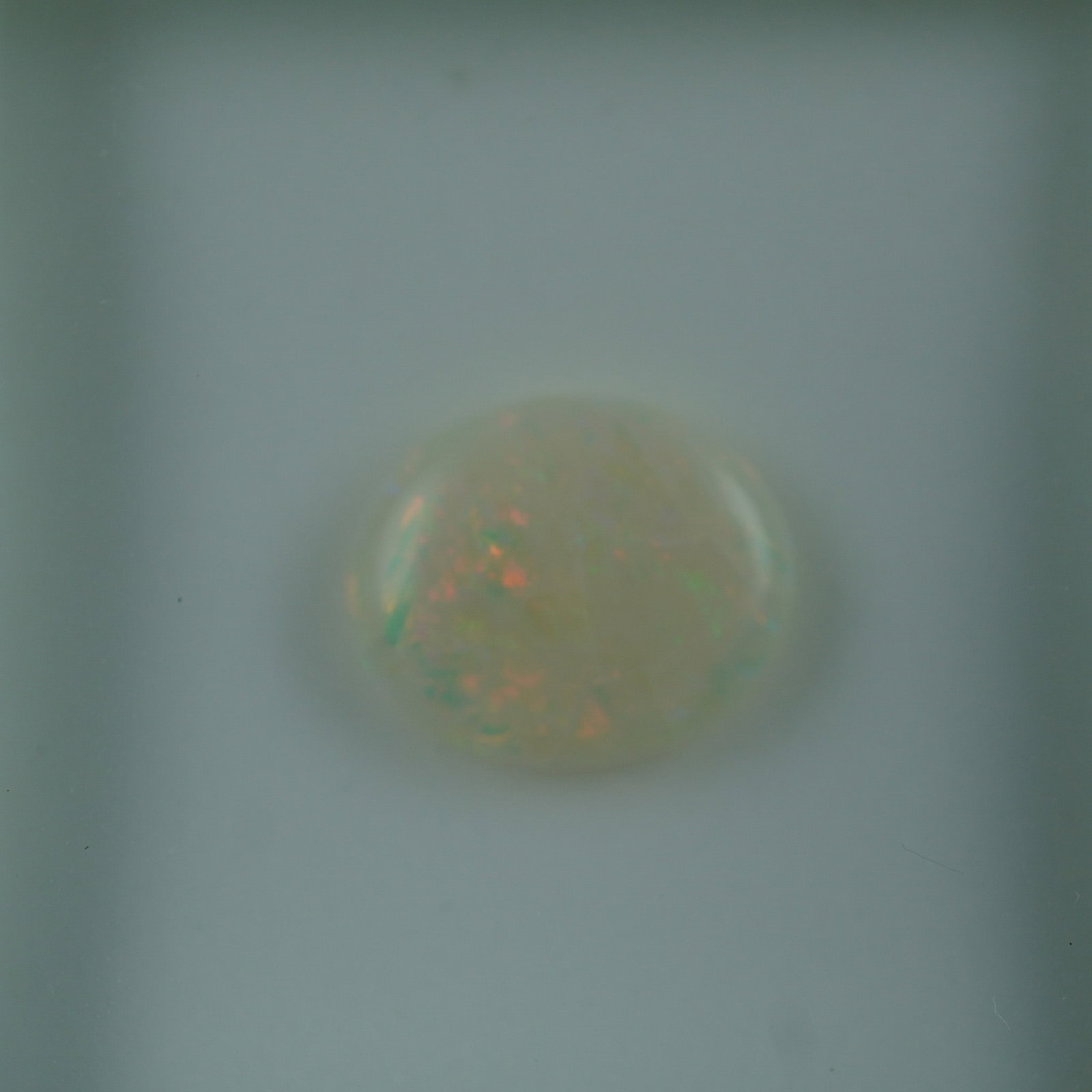 2.46 CT Solid Opal Oval Cut Gemstone: This luminous solid opal displays a captivating play of color across a soft milky base. Expertly cut in a smooth oval cabochon, the gemstone weighs approximately 2.46 carats and offers a dreamy, ether