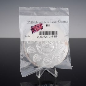 2020 Mexico Libertad Five Ounce Silver Coin
