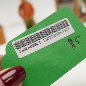 5pc Assortment of Newspaper Themed Figurines