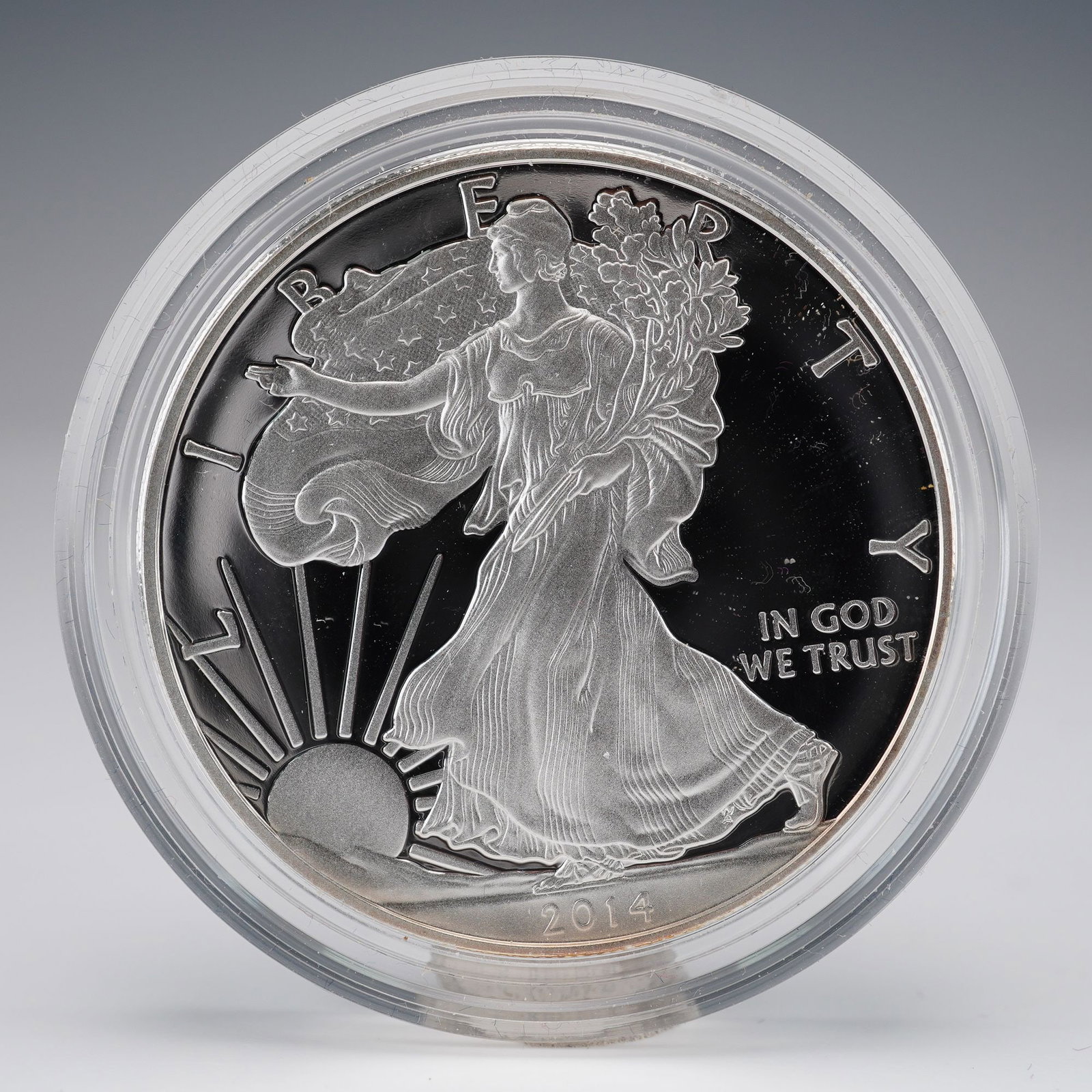 2014-W American Silver Eagle Proof Coin (1 of 4)