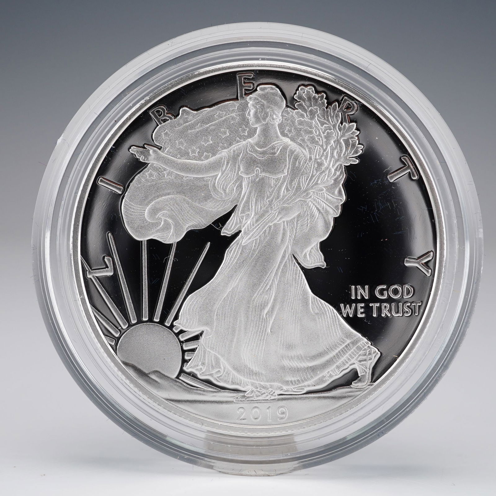 2019-W American Eagle One Ounce Silver Proof Coin (1 of 4)
