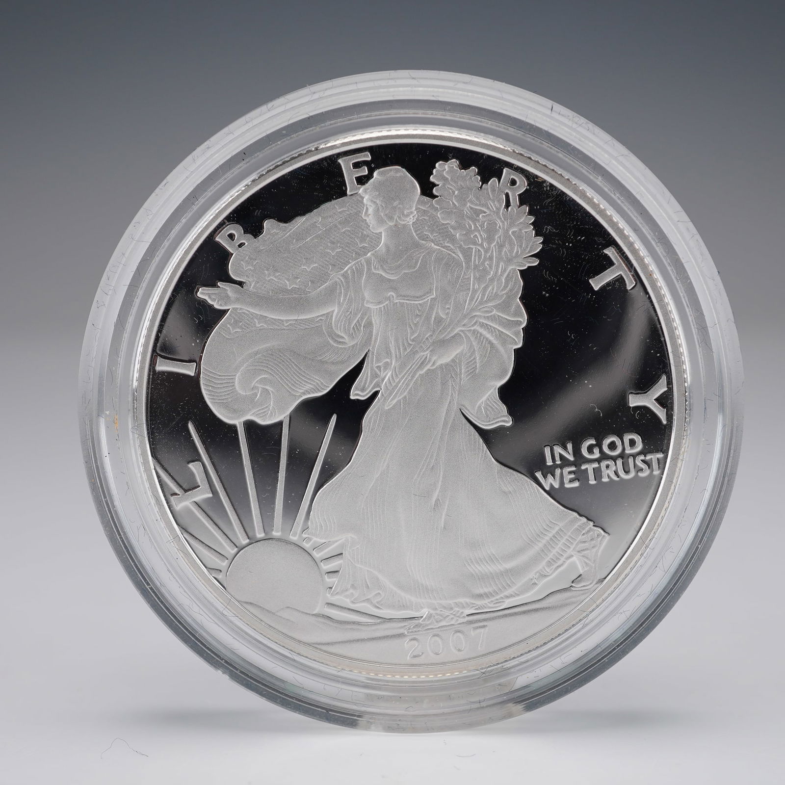 2007-W American Eagle Silver Dollar Uncirculated Coin (1 of 4)