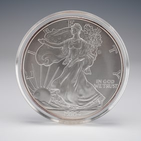 2004 American Silver Eagle Type 1