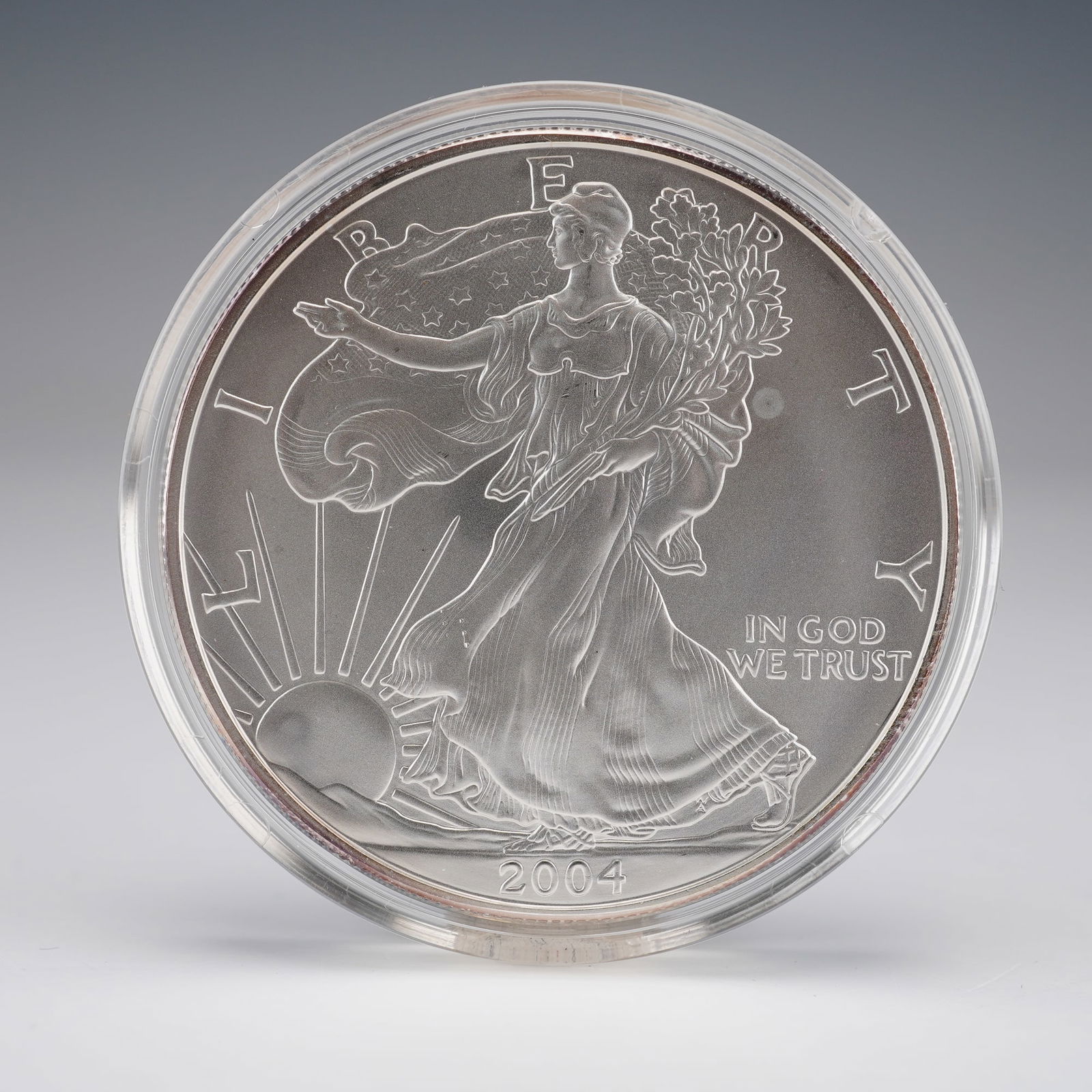 2004 American Silver Eagle Type 1 (1 of 4)