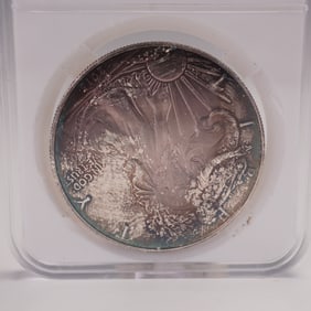 2015 American Silver Eagle One Dollar Coin