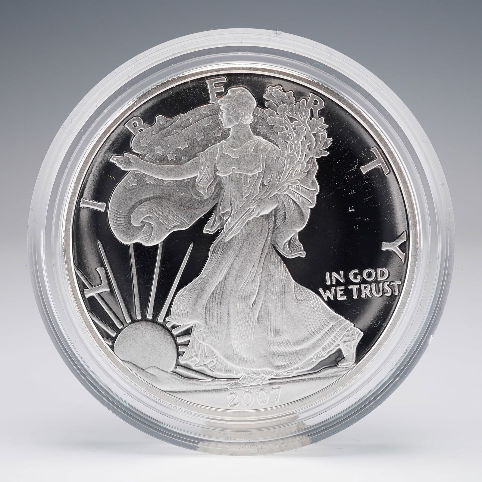 2007-W American Eagle One Ounce Silver Proof Coin (1 of 4)