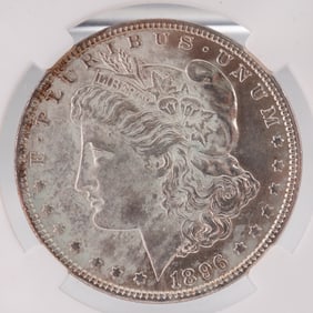1896 Morgan Silver Dollar