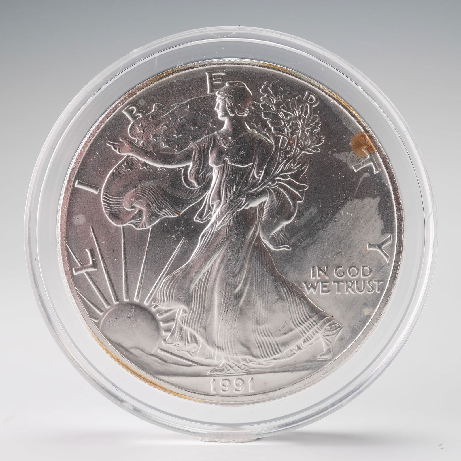 1991 American Silver Eagle 1 Dollar Coin (1 of 2)