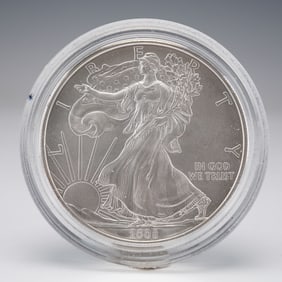2008-W American Silver Eagle Coin