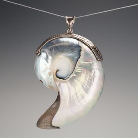 Sterling Silver Mounted Halved Nautilus Shell Pendant