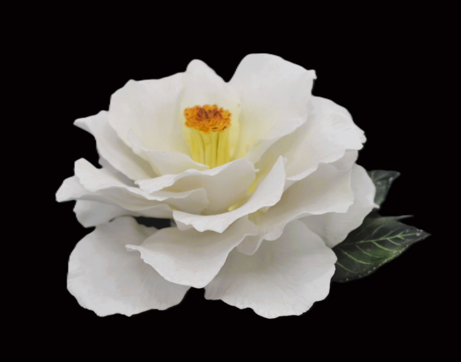Boehm Porcelain Emmett Barnes Camellia Flower, 1975: Fine Bone China, Decorated, hand created, hand painted by the Boehm Studio Artists in Malvern, England, UK. Featuring the Emmett Barnes White Camellia Flower. Introduced in 1975. Hallmark: 200-20. A v