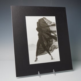 Herb Ritts Duotone Photo Engraving, Versace Veiled Dress: El Mirage