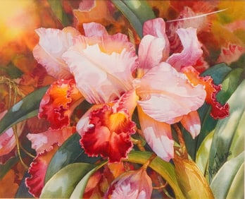 Darryl Trott (Australian, 1943-2013), 'Hana Cattleyas' (Signed)