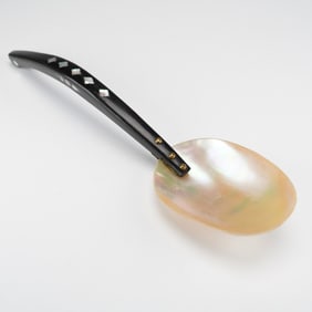 A Victorian Mother of Pearl & Black Polished Horn Caviar Serving Spoon