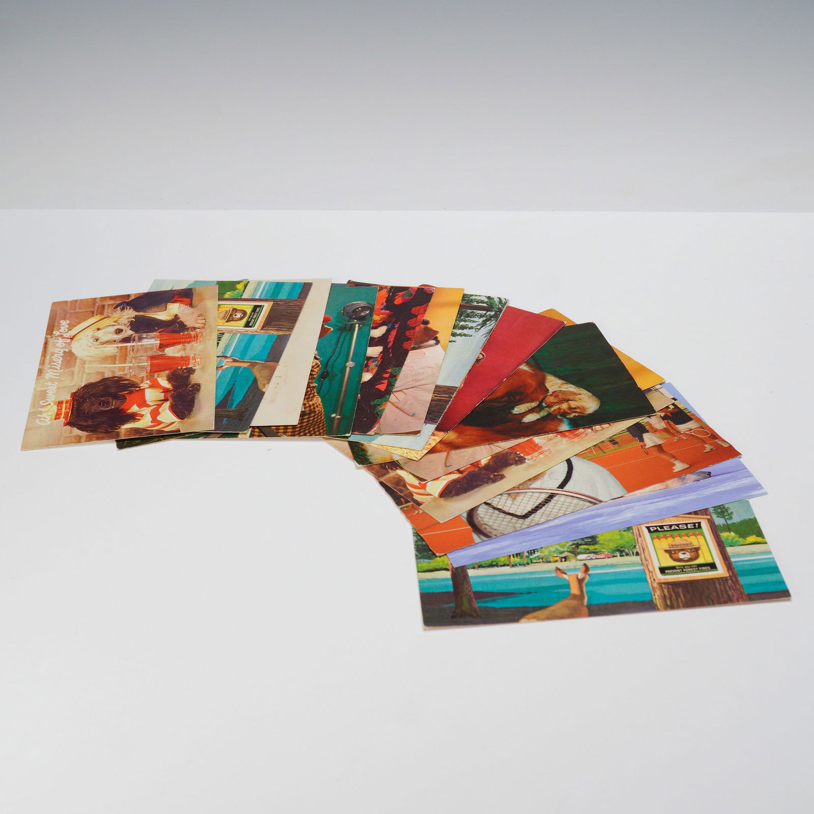 15pc Vintage Postcards, Animals and Novelty Themes (1 of 6)