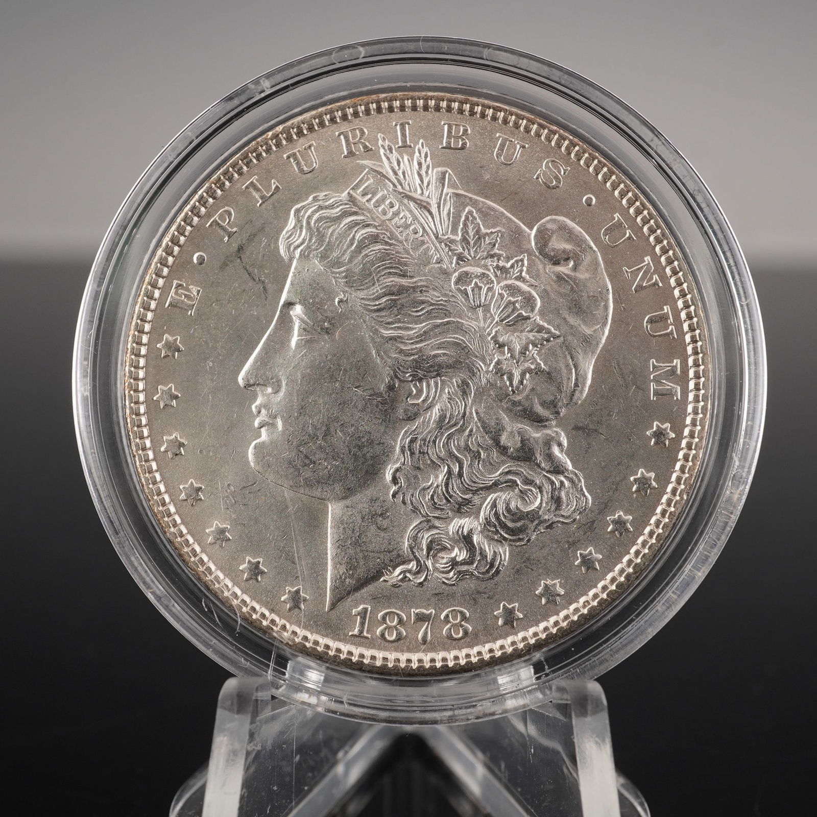 1878 Morgan Silver Dollar (1 of 2)
